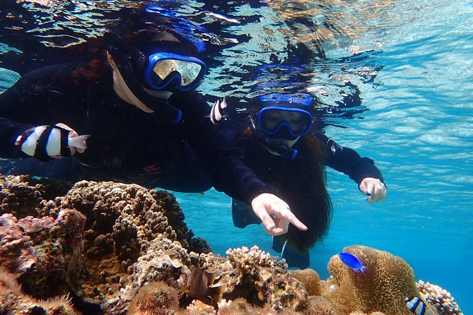 Okinawa Miyako Beach SUP or Canoe and sea turtle Snorkeling - Is the $89.17 price good value?