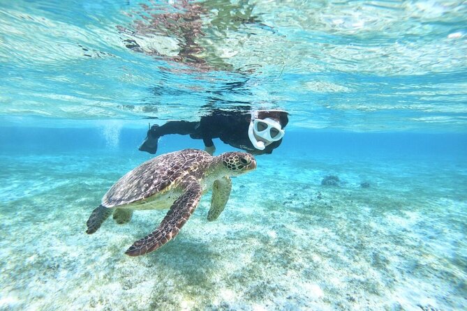 Okinawa Miyako Beach SUP or Canoe and sea turtle Snorkeling - What the SUP and canoe sessions are really like