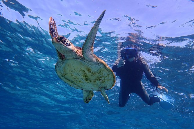Okinawa Miyakojima 1 day Sea Turtle Snorkeling & Pumpkin Cave & Sea Kayak - Meeting point, timing, and what to bring