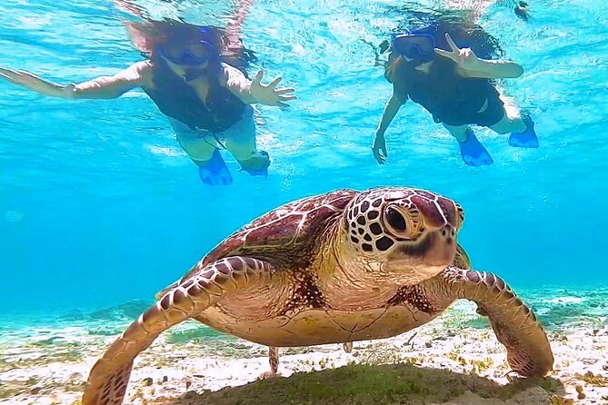 Okinawa Miyakojima 1 day Sea Turtle Snorkeling & Pumpkin Cave & Sea Kayak - Who will get the most from this tour?