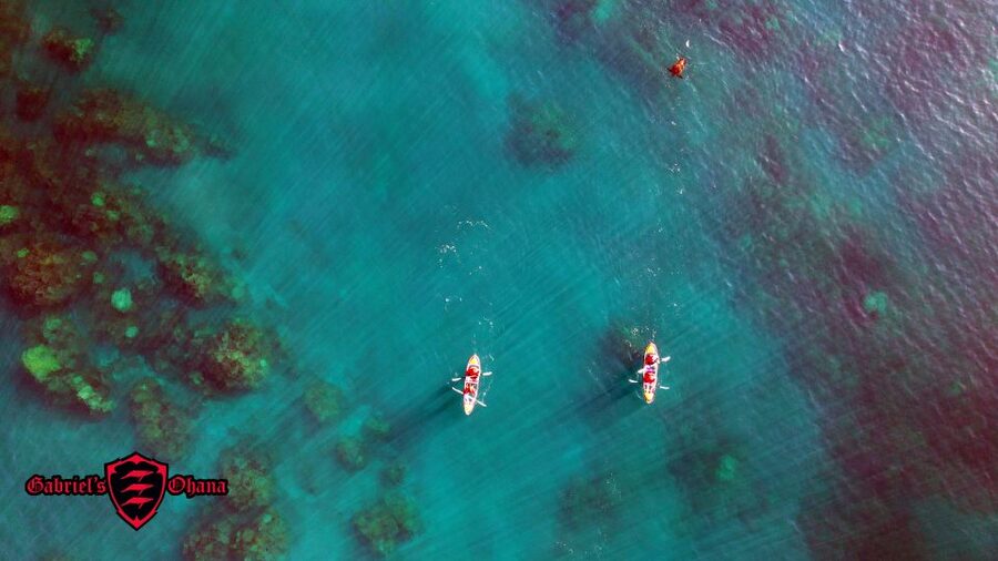 Olowalu: Guided Clear Kayak Tour - Unlimited - Who should book this Olowalu kayak tour?