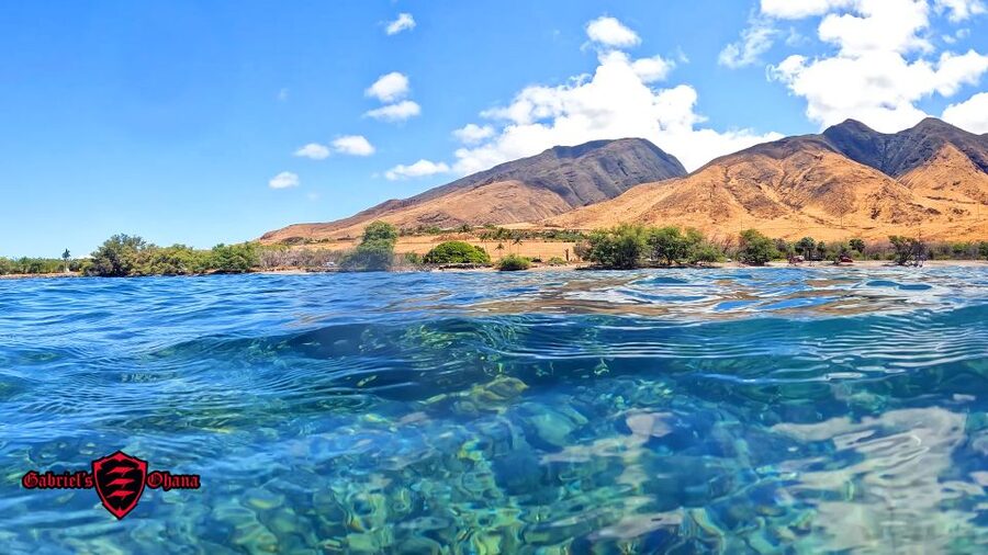 Olowalu: Guided Clear Kayak Tour - Unlimited - What happens during the three-hour outing