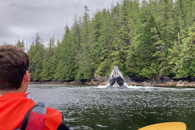 Orca Cove Sea Kayaking - Key details before you book