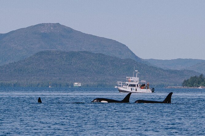 Orca Cove Sea Kayaking - The smoked salmon finish is more than a snack