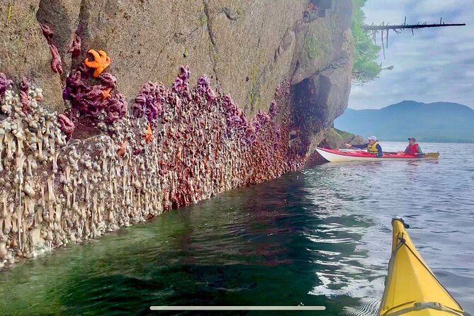 Orca Cove Sea Kayaking - Who will enjoy this Ketchikan outing?