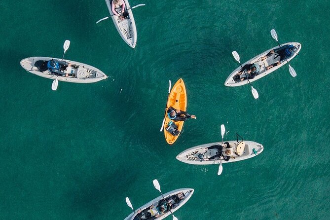 Original La Jolla Sea Cave Kayak Tour for Two - Check-in at 2261 Avenida De La Playa
