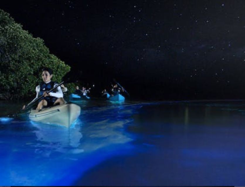 Orlando: Bioluminescence Clear Kayaking or Paddleboarding - Getting started with the clear kayaks and paddleboards