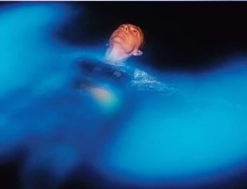 Orlando: Bioluminescence Clear Kayaking or Paddleboarding - Understanding the bioluminescence before you go