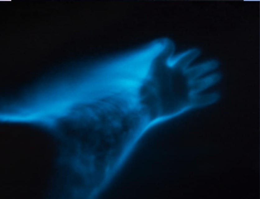 Orlando: Bioluminescence Clear Kayaking or Paddleboarding - Wildlife, stars, and the small details that make the trip special