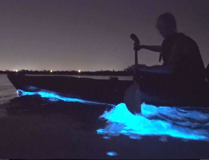 Orlando: Bioluminescence Clear Kayaking or Paddleboarding - Family suitability and physical limits