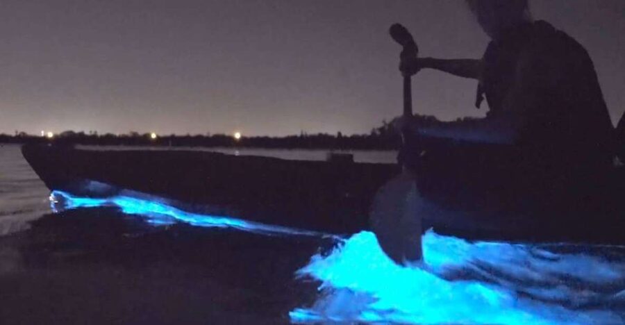 Orlando: Bioluminescence Clear Kayaking or Paddleboarding - Choosing between sunset and full darkness
