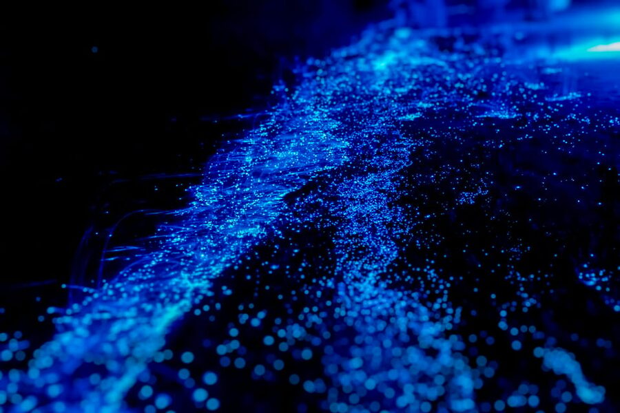 Orlando: Bioluminescence Kayak Tour - Key points to know before you go
