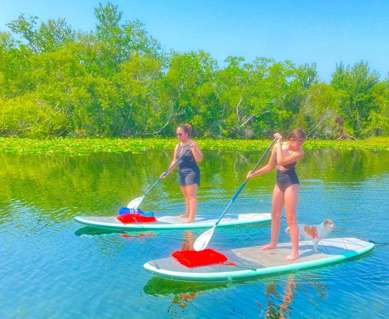 Orlando: Clear Kayak and Paddleboard 2-Hour Rental - What to Bring and Where to Eat Afterward