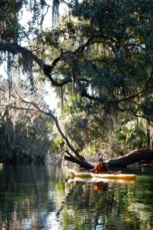 Orlando: Kayaking Tour with Manatee Encounter - Getting to French Landing from Orlando