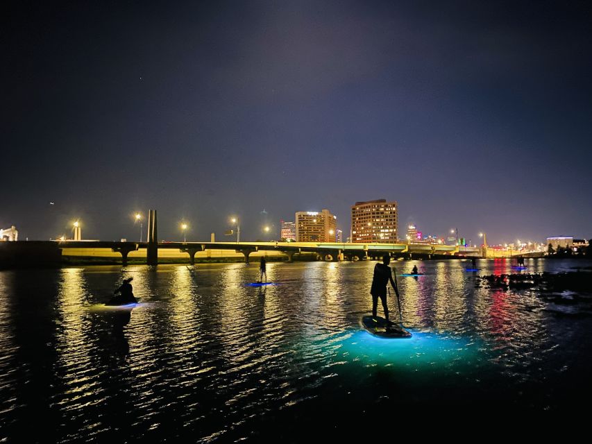 Orlando: LED Night Glow Clear Kayak or Paddleboard Tour - The quieter back lake and natural views