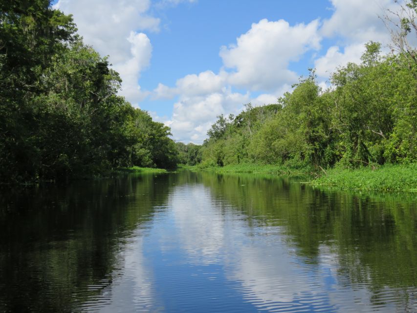 Orlando: Small Group Manatee Discovery Kayak Tour - Key points to know before you paddle