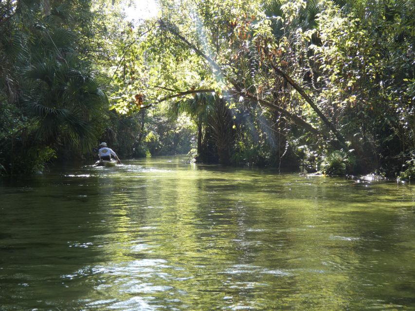 Orlando: Small Group Rock Springs Run Kayak Tour - Who will enjoy this Rock Springs Run tour?