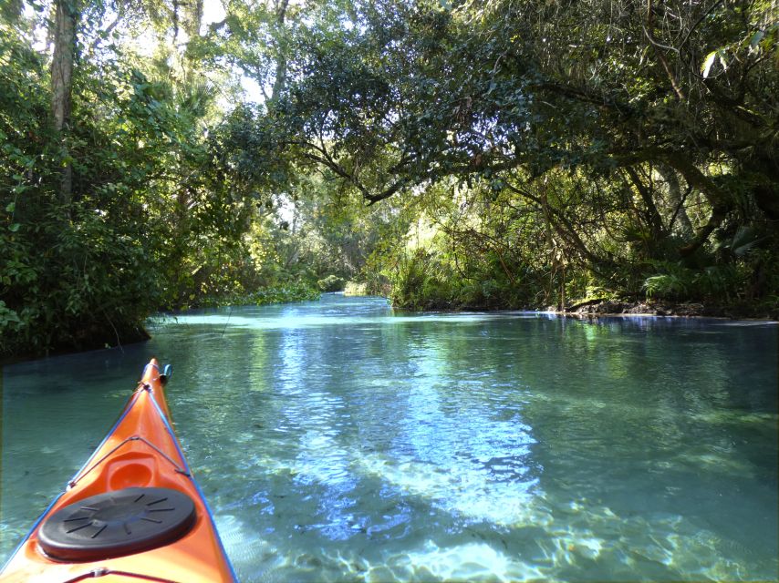 Orlando: Small Group Rock Springs Run Kayak Tour - Paddling upstream through Rock Springs Run