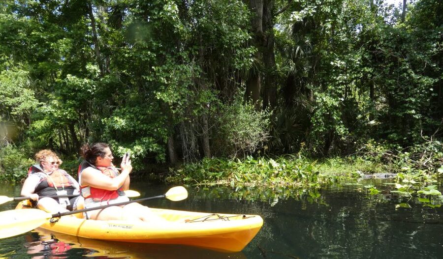 Orlando: Small Group Rock Springs Run Kayak Tour - Why the small group improves the experience