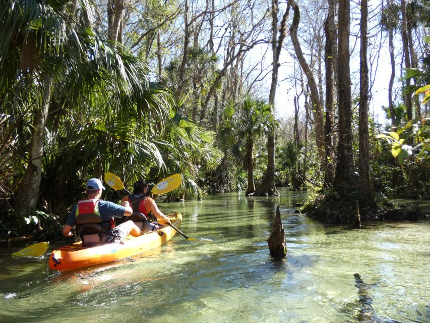 Orlando: Small Group Rock Springs Run Kayak Tour - A 10-minute safety briefing before the water