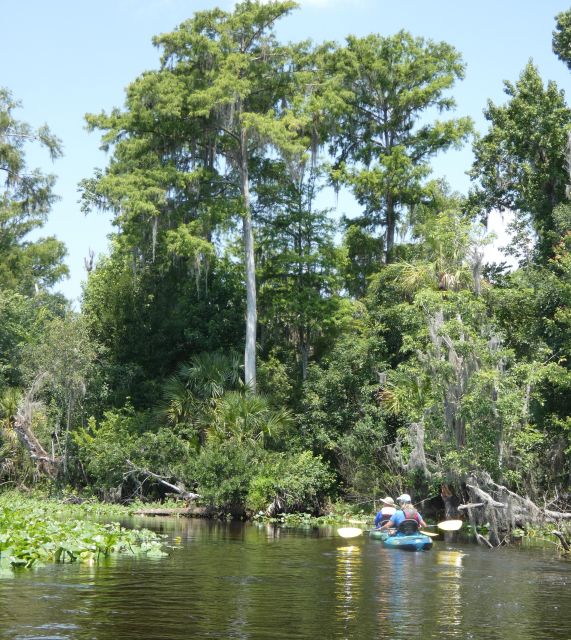 Orlando: Small Group Scenic Wekiva River Kayak Tour - Key points at a glance