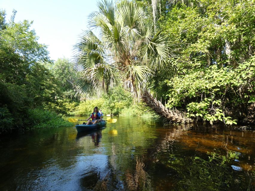 Orlando: Small Group Scenic Wekiva River Kayak Tour - Should you book the Wekiva River tour?
