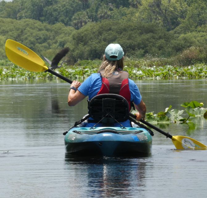 Orlando: Small Group Scenic Wekiva River Kayak Tour - One hour of paddling through Central Florida scenery