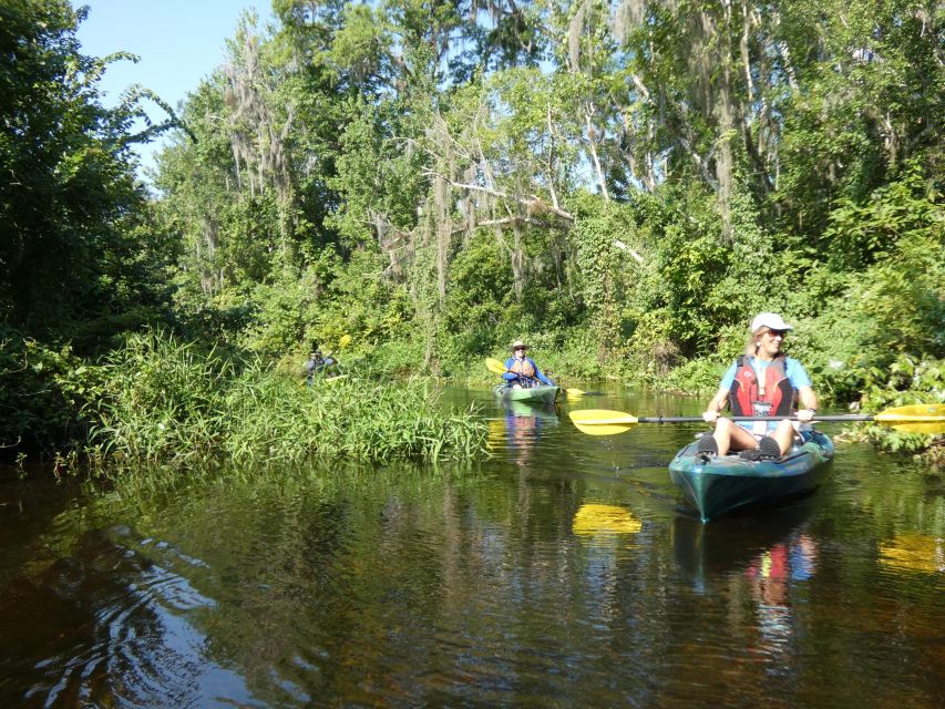Orlando: Small Group Scenic Wekiva River Kayak Tour - The second hour on the river