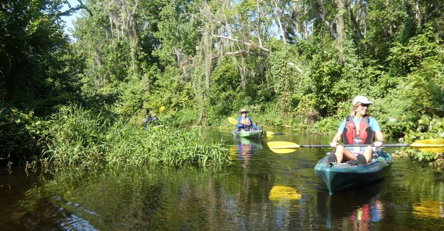 Orlando: Small Group Scenic Wekiva River Kayak Tour - What the $80 price really includes