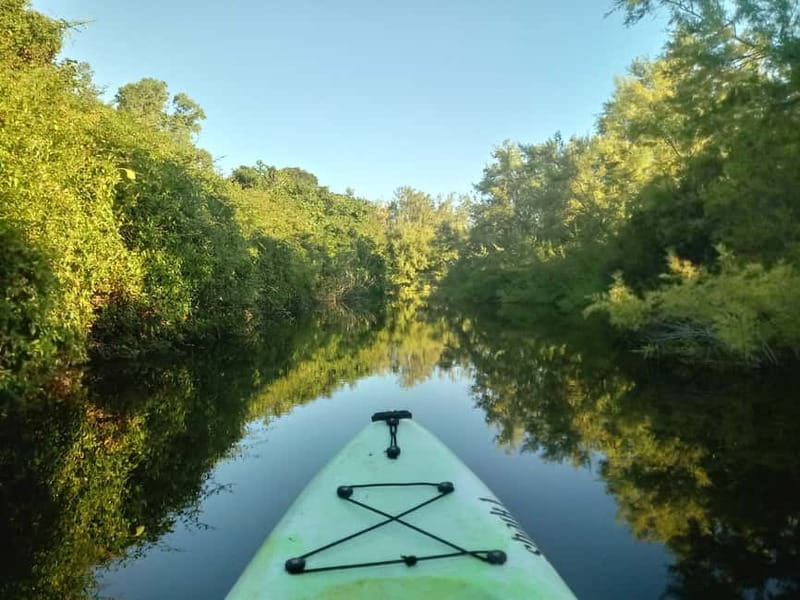 Orosei: Guided Kayak Tour of the Biderosa Oasis at Sunset - Who will enjoy this most?