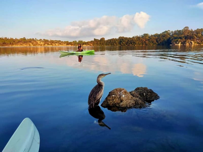 Orosei: Guided Kayak Tour of the Biderosa Oasis at Sunset - Paddling along the crystal-clear Canal