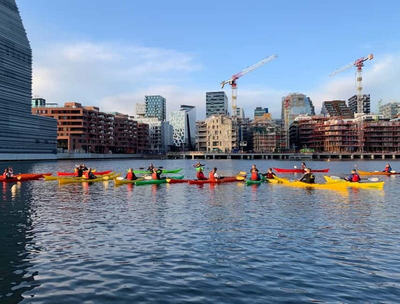 Oslo Sea Kayak Tour “Fjord City” - Who will enjoy this most?