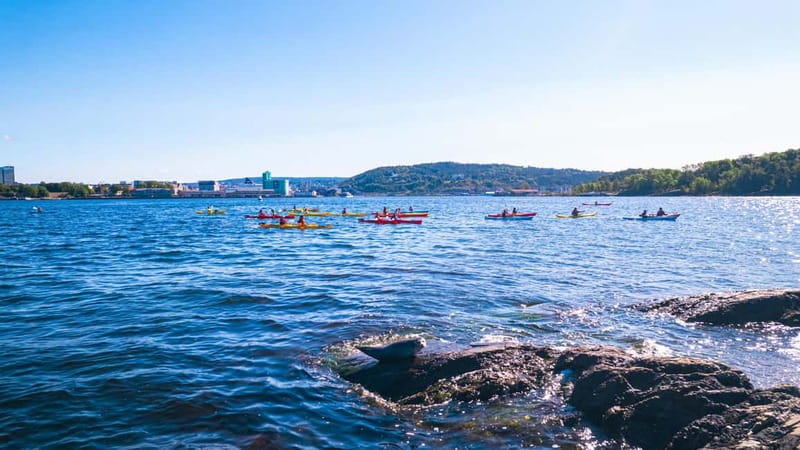 Oslo Sea Kayak Tour “Fjord City” - Starting from Tjuvholmen, Oslo’s waterside district