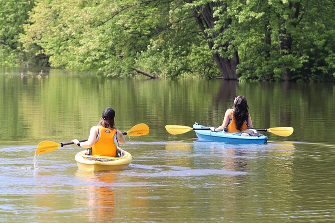 Ottawa: Ecological Reserve Kayak Tour with Turtle Sightings - Key points to know before you book