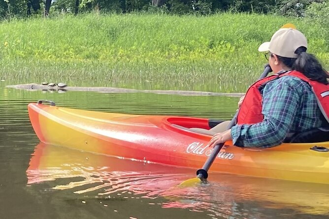 Ottawa: Ecological Reserve Kayak Tour with Turtle Sightings - Learning about the reserve with Sylvie