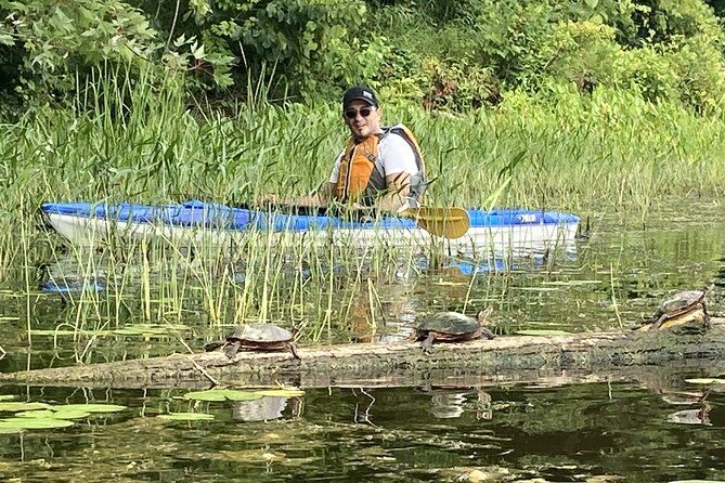 Ottawa: Ecological Reserve Kayak Tour with Turtle Sightings - The small Friends of Petrie Island exhibit