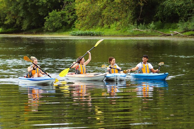 Ottawa: Ecological Reserve Kayak Tour with Turtle Sightings - Meeting the van at Tweddle Road