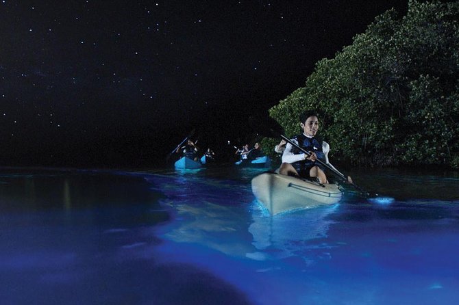 Overnight Bio Bay Kayak Tour in Vieques Island - Quick Takeaways
