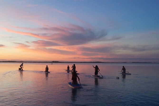 Paddle at Dawn with visit to Cenotes and Islands - Bird sanctuary and a picnic on the water