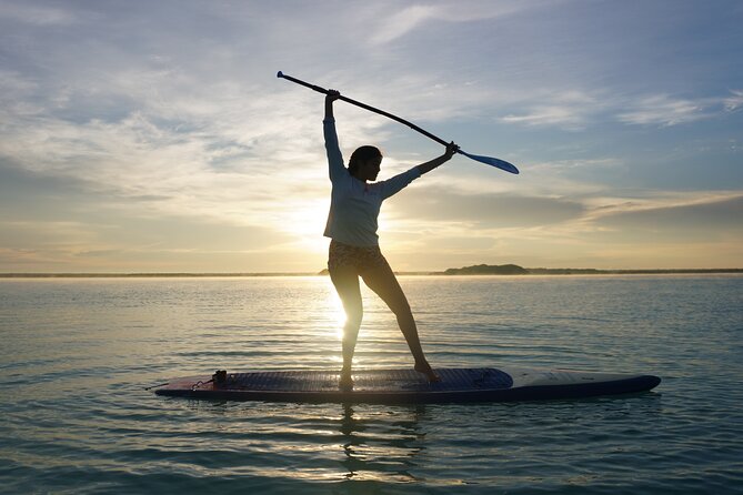 Paddle at Dawn with visit to Cenotes and Islands - Cenote Esmeralda and the glassy-water effect