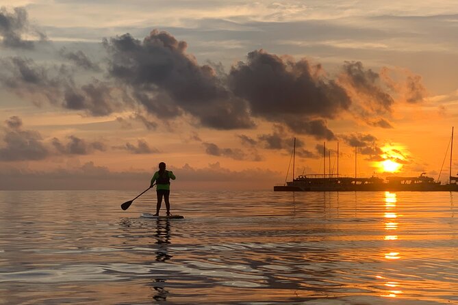 Paddle Board at Sunrise or Sunset in Cancun - Wildlife, Mangroves, and the Value of Looking Around