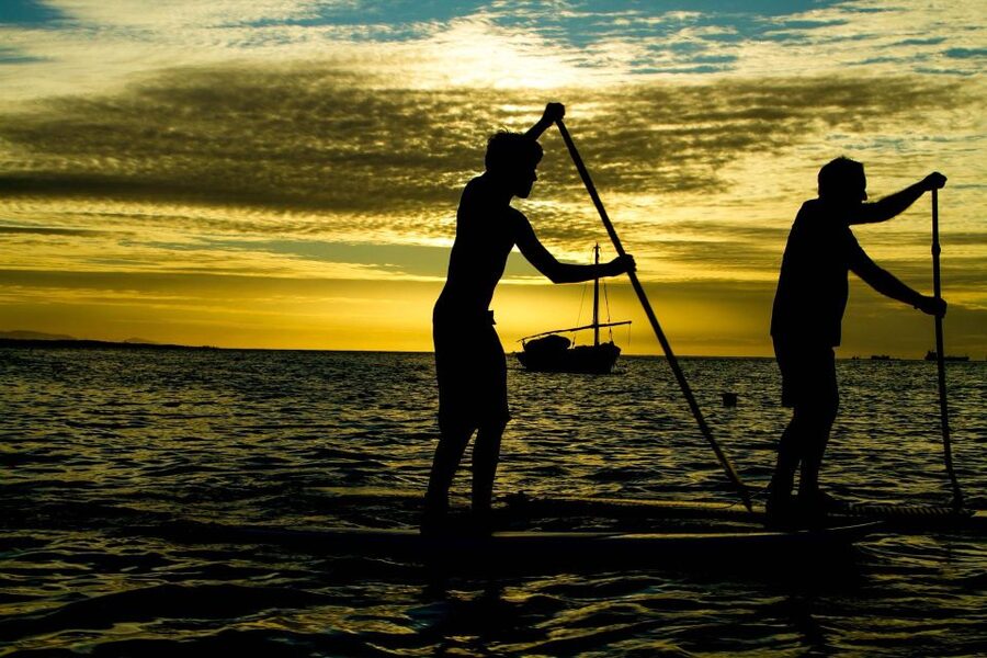 Paddle Board Rental: Glide on the Water with Ease - Key Points Before You Paddle