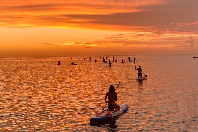 Paddle Surfing in Barcelona - One hour on the board
