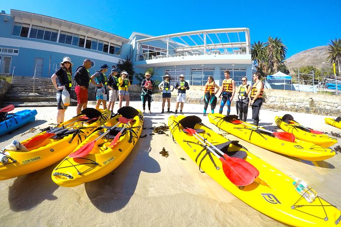 Paddle with the Penguins - Starting at Seaforth Beach in Simon’s Town
