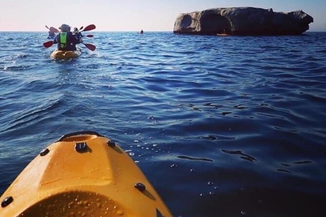 Paddle with the Penguins - Wind, weather, and the limits of an ocean tour
