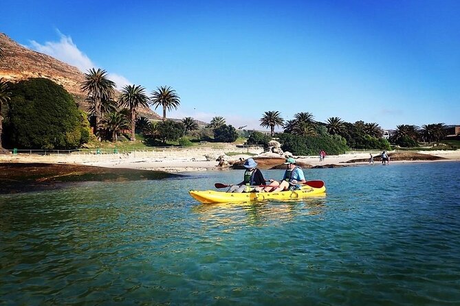 Paddle with the Penguins - What to bring and what the price covers