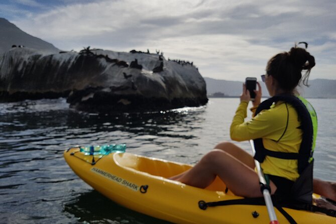 Paddle with the Penguins - Who will enjoy this two-hour paddle