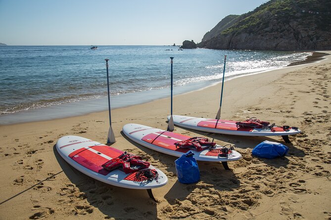 Paddleboard Expedition to the Arch of Cabo San Lucas, Lovers Beach & Snorkel - Lovers Beach and the Pacific side