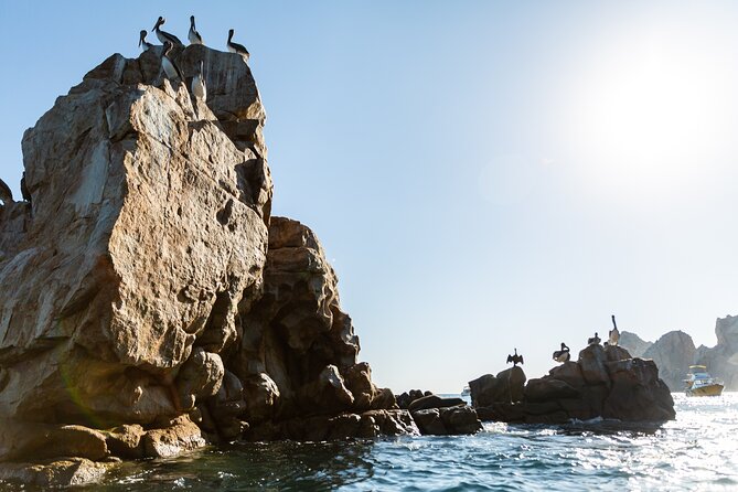 Paddleboard Expedition to the Arch of Cabo San Lucas, Lovers Beach & Snorkel - What the $90 price includes