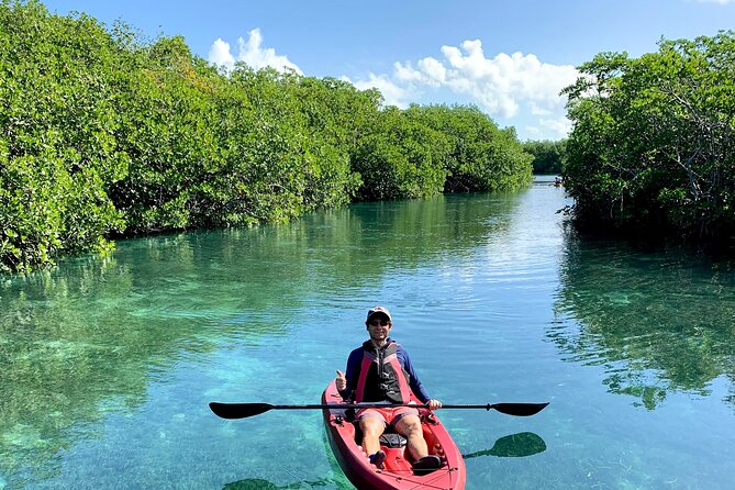 Paddleboard Kayak Tour in Cancun - Through the mangrove tunnels